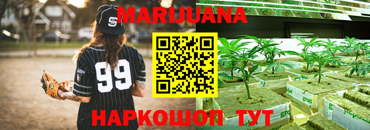 Канабис ГИДРОПОН Можга